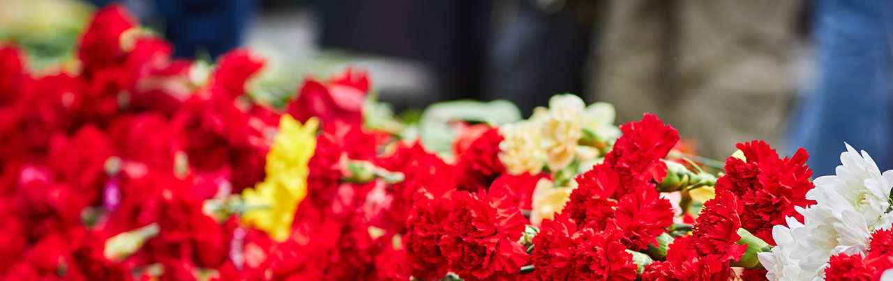 BIENVENIDOS AL GRUPO G8